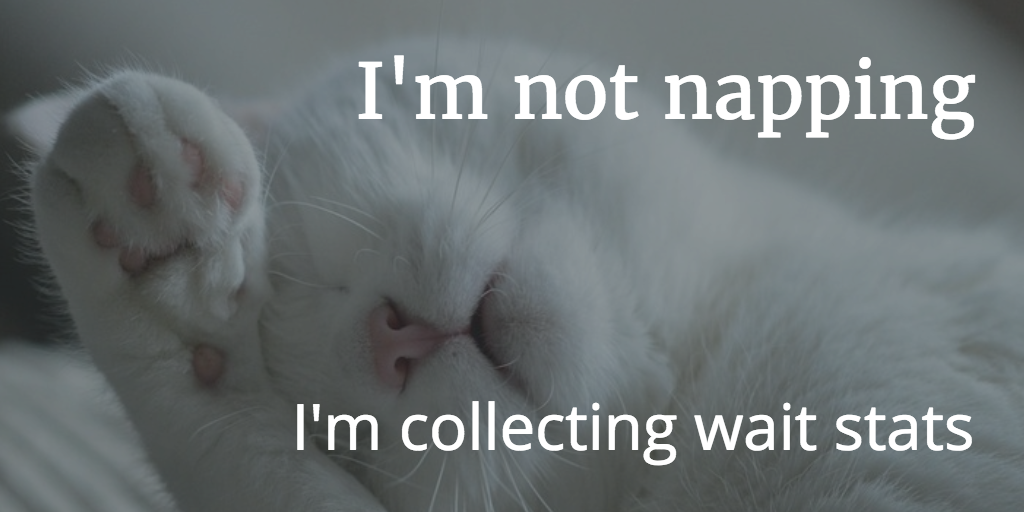 Not-Napping-Collecting-Wait-Stats