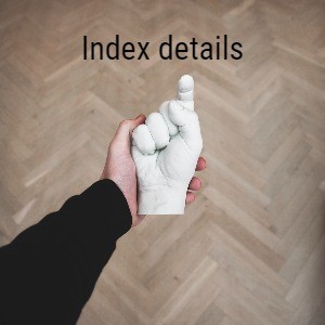 Everything About Your Indexes (well, almost)