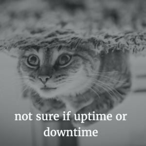 not-sure-if-uptime-or-downtime